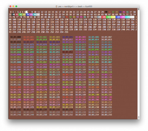 Bash Escape Sequence Color